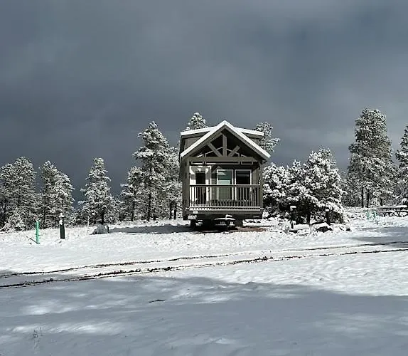 Cozy By Forest View 4b * Williams