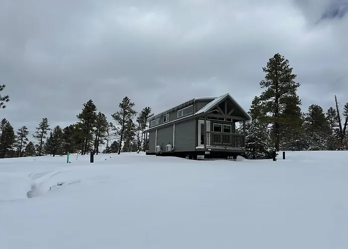 Cozy By Forest View 4b Chalet Williams