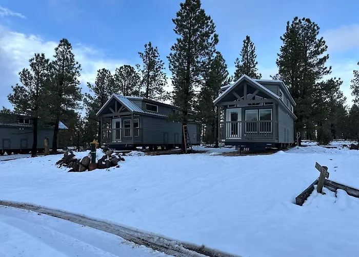 Cozy By Forest View 4b Williams
