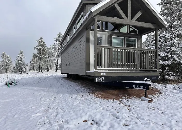 Cozy By Forest View 4b Williams